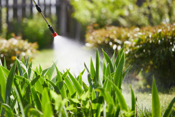 Tamper-Resistant Bait Stations for Rodents in Burnt Mills