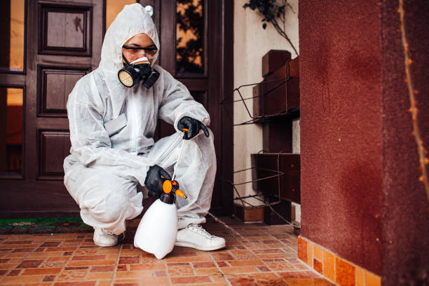 Attic and Crawl Space Rodent Treatment in Burnt Mills